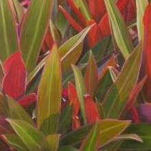 植物绘画小组