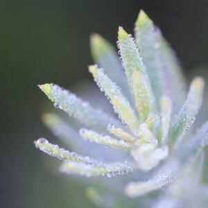 你最好的7个艺术比赛